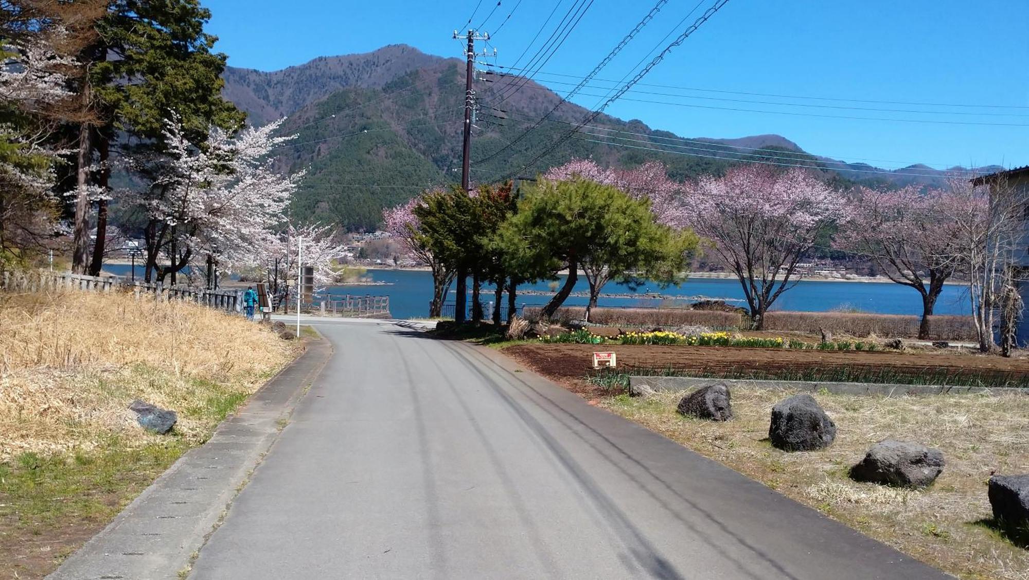 Nishimiyasou Hotel Fujikawaguchiko Eksteriør billede