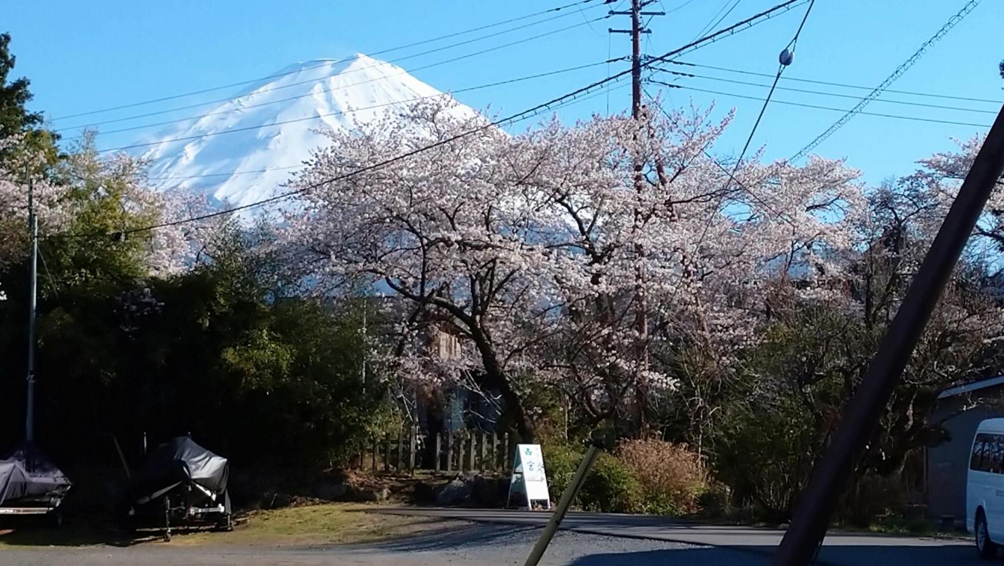 Nishimiyasou Hotel Fujikawaguchiko Eksteriør billede