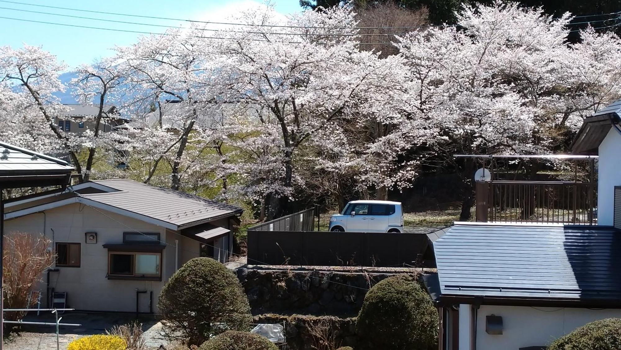 Nishimiyasou Hotel Fujikawaguchiko Eksteriør billede