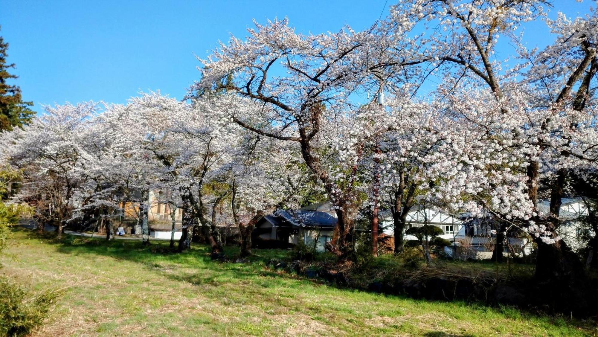 Nishimiyasou Hotel Fujikawaguchiko Eksteriør billede