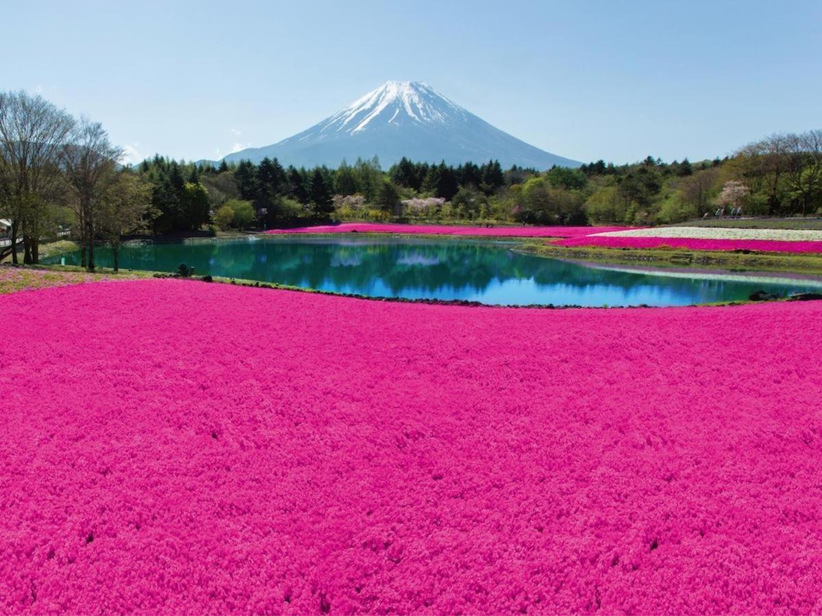 Nishimiyasou Hotel Fujikawaguchiko Eksteriør billede