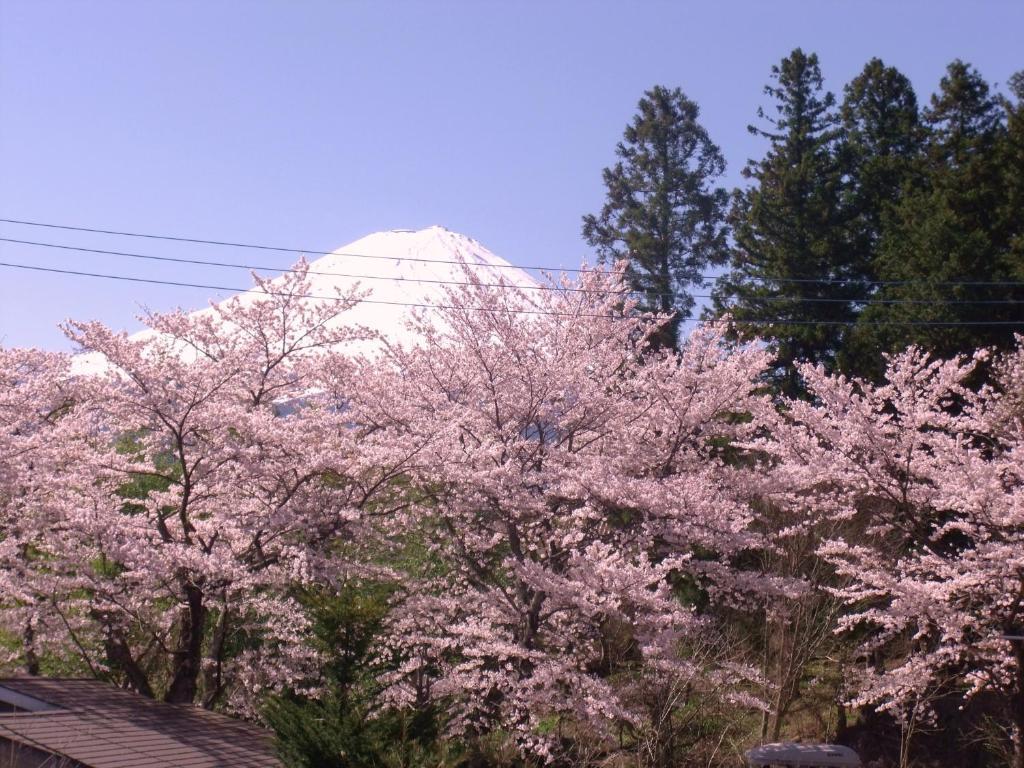 Nishimiyasou Hotel Fujikawaguchiko Eksteriør billede